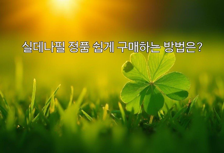 aiimg360021.jpg