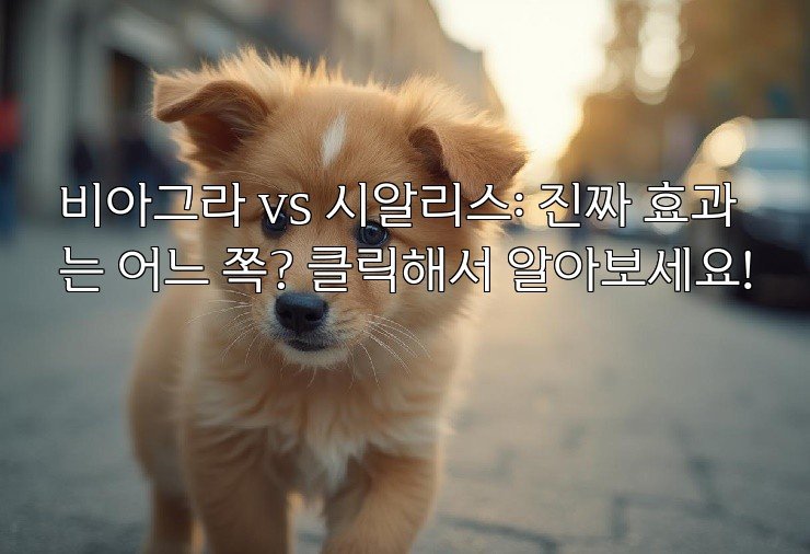 aiimg409207.jpg