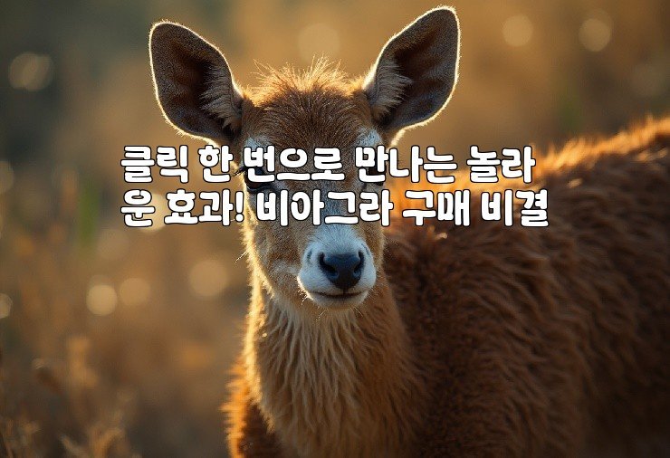 aiimg627325.jpg