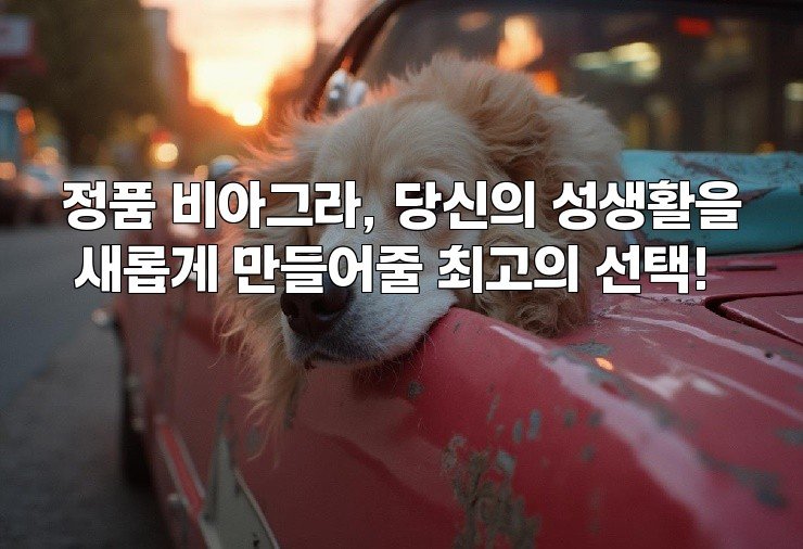 aiimg892141.jpg