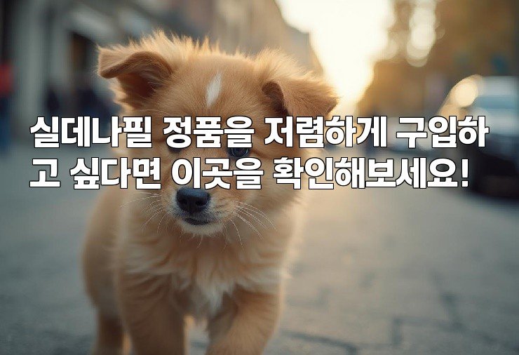 aiimg91035.jpg