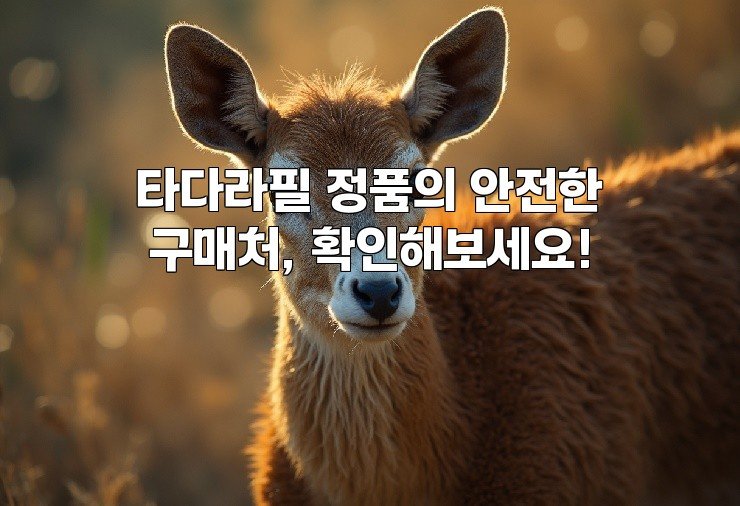 aiimg915435.jpg