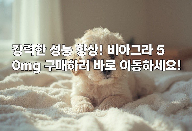 aiimg943149.jpg